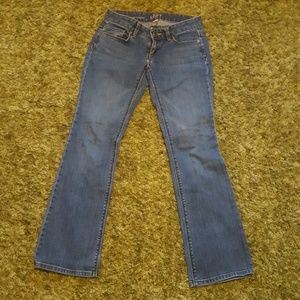Ann taylor loft jeans